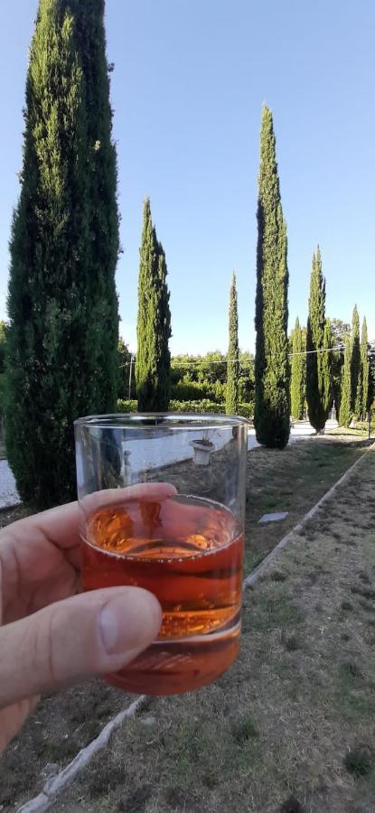B&B Agriturismo Regno Di Toscana Collesalvetti Εξωτερικό φωτογραφία