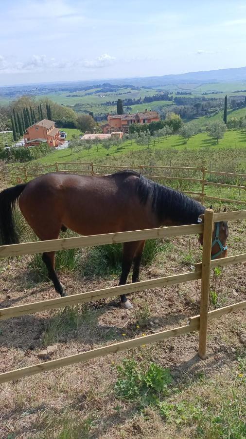 B&B Agriturismo Regno Di Toscana Collesalvetti Εξωτερικό φωτογραφία